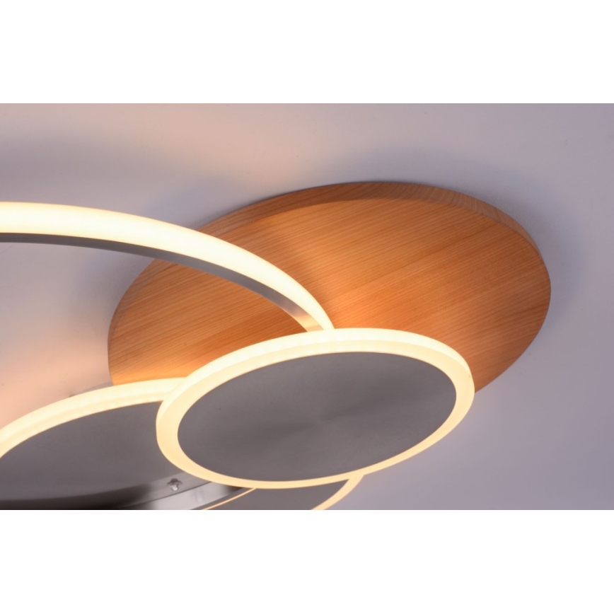 Paul Neuhaus 8328-79 - LED loftlampe dæmpbar PALMA LED/50W/230V 2700-5000K fyrretræ + fjernbetjening