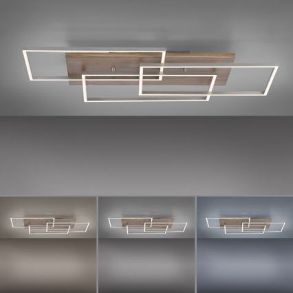 Paul Neuhaus 8330-79 - LED loftlampe dæmpbar PALMA 3xLED/12W/230V fyrretræ + fjernbetjening