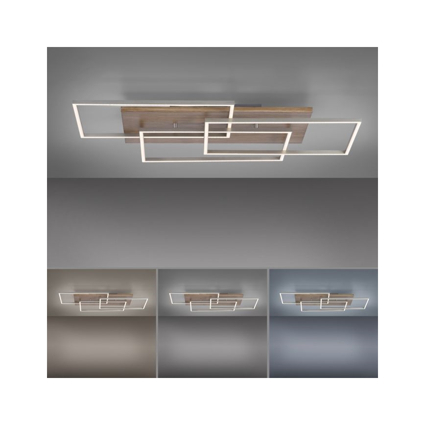Paul Neuhaus 8330-79 - LED loftlampe dæmpbar PALMA 3xLED/12W/230V fyrretræ + fjernbetjening