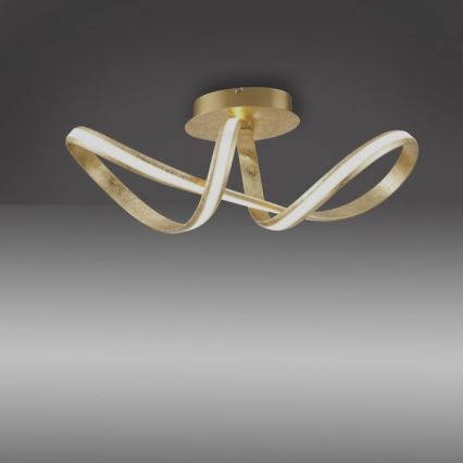 Paul Neuhaus 8331-12 - LED loftlampe dæmpbar MELINDA LED/30W/230V