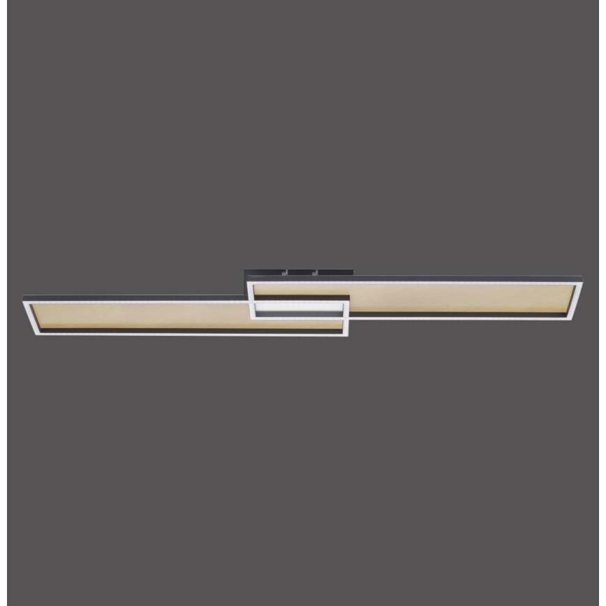 Paul Neuhaus 8371-18 - LED dæmpbar loftlampe AMARA LED/40W/230V + RC