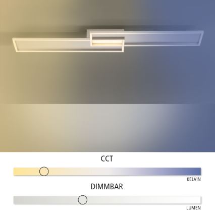 Paul Neuhaus 8371-55 - LED dæmpbar loftlampe AMARA LED/40W/230V + RC