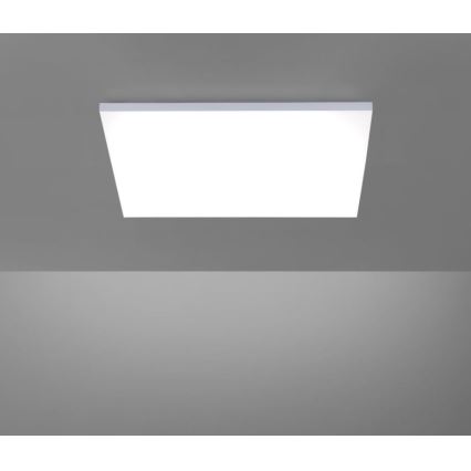 Paul Neuhaus 8492-16 - LED panel dæmpbart FRAMELESS LED/35W/230V + fjernbetjening