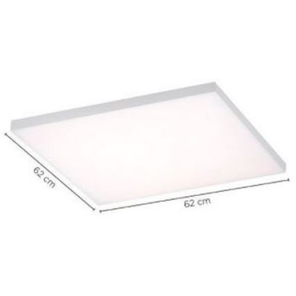 Paul Neuhaus 8492-16 - LED panel dæmpbart FRAMELESS LED/35W/230V + fjernbetjening