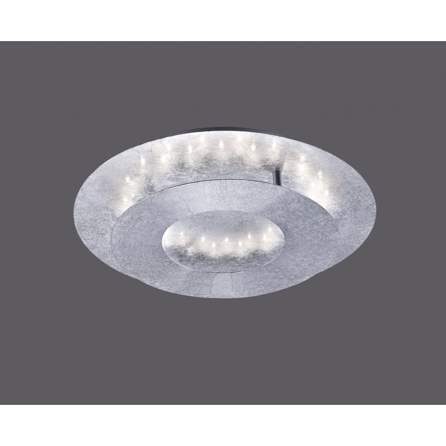 Paul Neuhaus 9011-21 - LED loftlampe NEVIS LED/6W/230V sølvfarvet