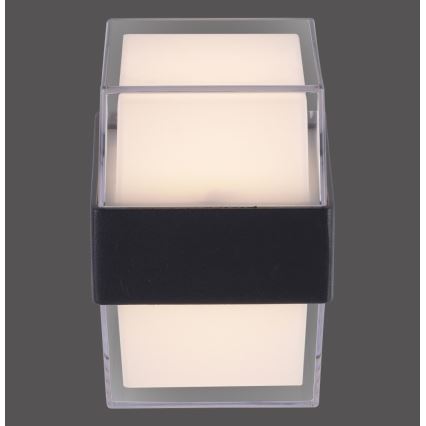 Paul Neuhaus 9480-13 - Udendørs LED væglampe CARA LED/8W/230V IP44