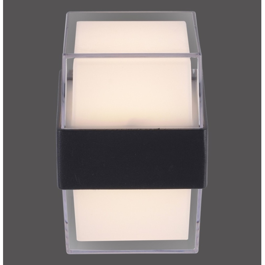 Paul Neuhaus 9480-13 - Udendørs LED væglampe CARA LED/8W/230V IP44
