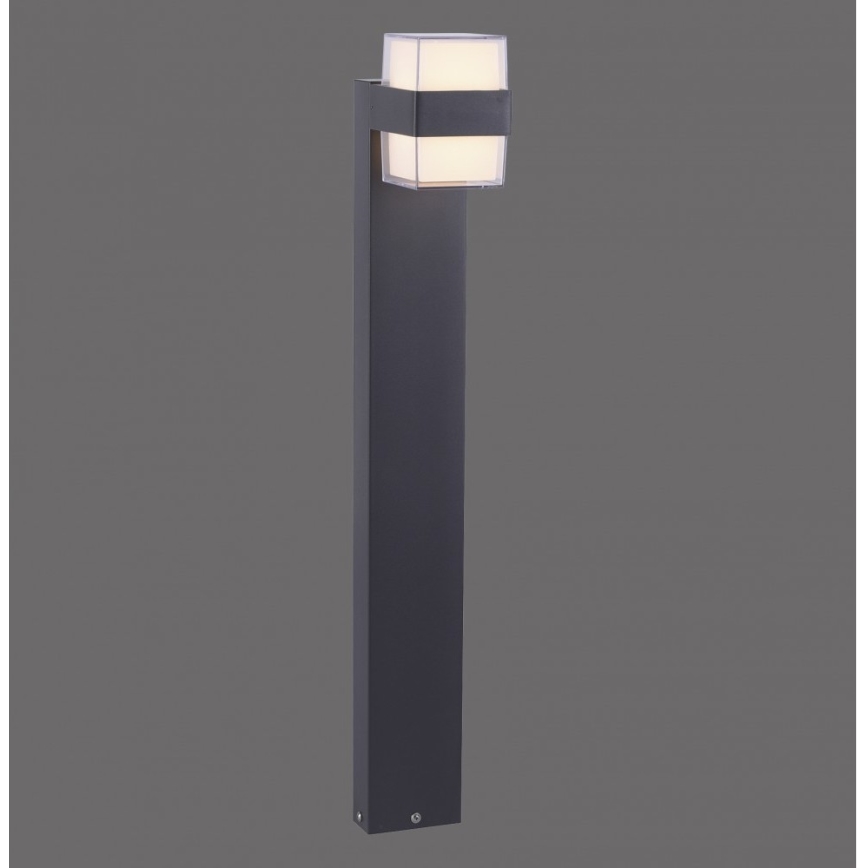 Paul Neuhaus 9481-13 - LED udendørslampe CARA LED/8W/230V IP44