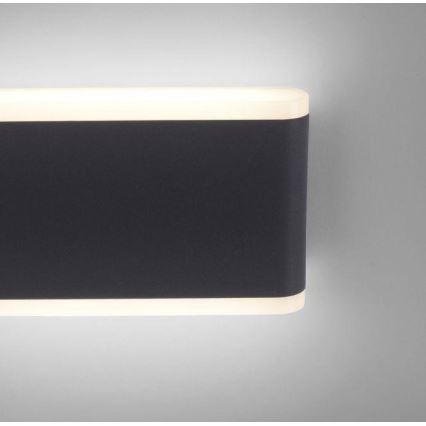 Paul Neuhaus 9483-13 - Udendørs LED væglampe ELSA 2xLED/5,4W/230V IP65