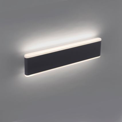 Paul Neuhaus 9484-13 - Udendørs LED væglampe dæmpbar ELSA 2xLED/9W/230V IP65