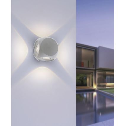 Paul Neuhaus 9485-21 - Udendørs LED væglampe CARLO 4xLED/0,8W/230V IP54