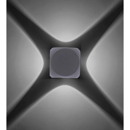 Paul Neuhaus 9485-21 - Udendørs LED væglampe CARLO 4xLED/0,8W/230V IP54