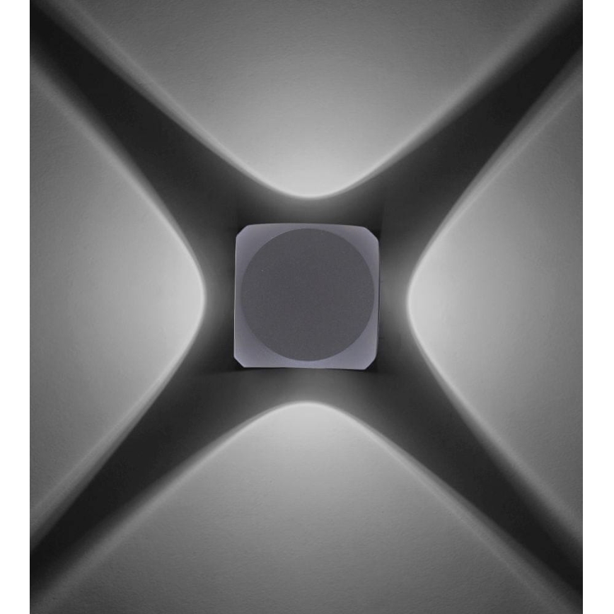 Paul Neuhaus 9485-21 - Udendørs LED væglampe CARLO 4xLED/0,8W/230V IP54
