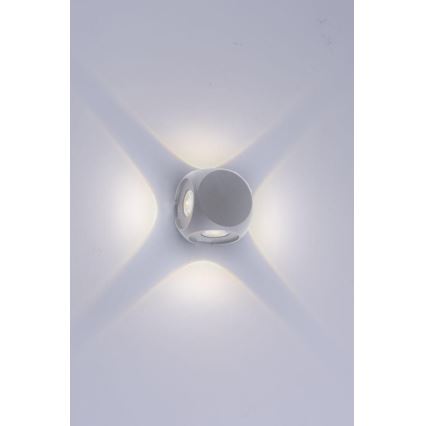 Paul Neuhaus 9485-21 - Udendørs LED væglampe CARLO 4xLED/0,8W/230V IP54