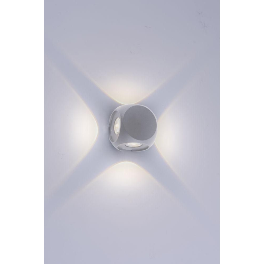 Paul Neuhaus 9485-21 - Udendørs LED væglampe CARLO 4xLED/0,8W/230V IP54
