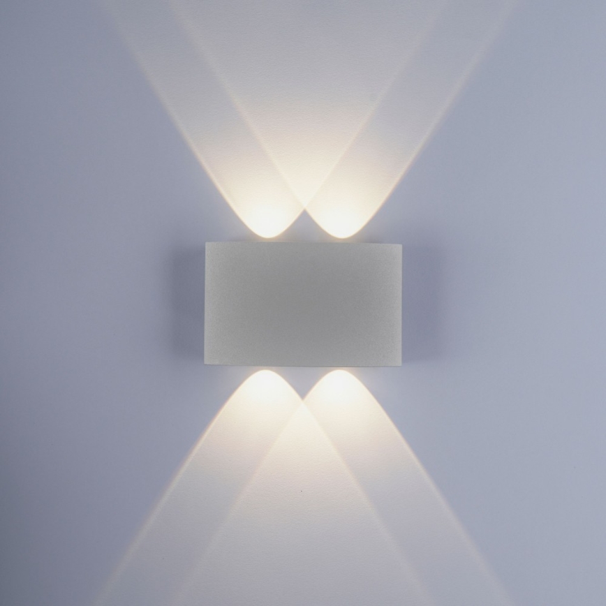 Paul Neuhaus 9487-21 - Udendørs LED væglampe CARLO 4xLED/0,8W/230V IP54