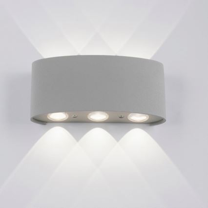 Paul Neuhaus 9488-21 - Udendørs LED væglampe CARLO 6xLED/0,8W/230V IP54