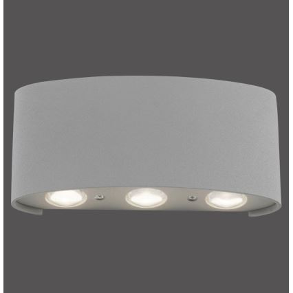 Paul Neuhaus 9488-21 - Udendørs LED væglampe CARLO 6xLED/0,8W/230V IP54