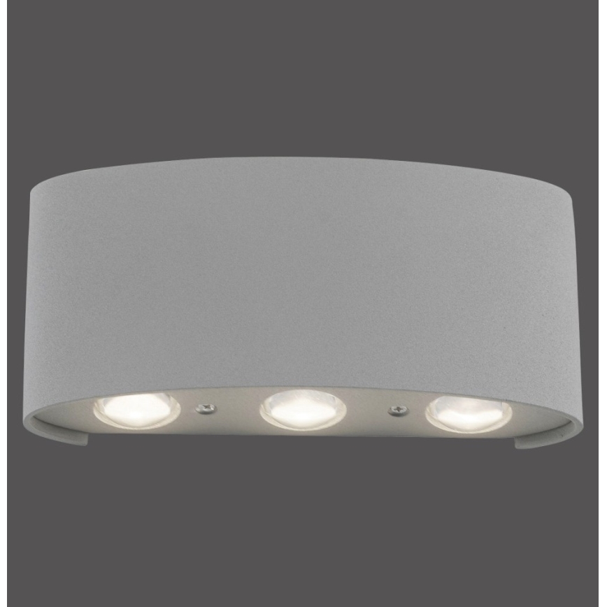Paul Neuhaus 9488-21 - Udendørs LED væglampe CARLO 6xLED/0,8W/230V IP54