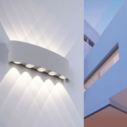 Paul Neuhaus 9489-21- Udendørs LED væglampe CARLO 10xLED/0,8W/230V IP54