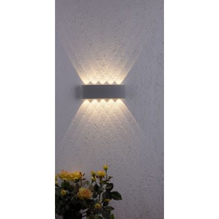 Paul Neuhaus 9489-21- Udendørs LED væglampe CARLO 10xLED/0,8W/230V IP54