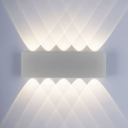 Paul Neuhaus 9489-21- Udendørs LED væglampe CARLO 10xLED/0,8W/230V IP54