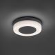 Paul Neuhaus 9490-13 - LED udendørslampe FABIAN LED/12,6W/230V IP54