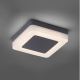 Paul Neuhaus 9491-13 - LED udendørslampe FABIAN LED/12,6W/230V IP54