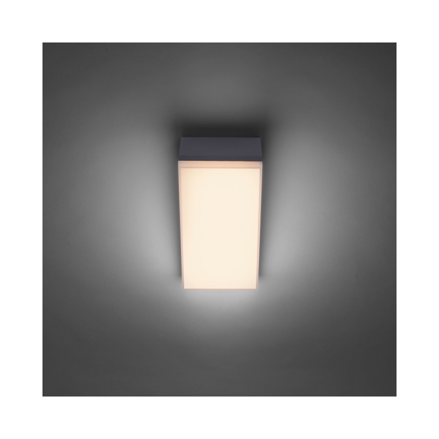 Paul Neuhaus 9495-13 - Udendørs LED væglampe GWEN LED/9W/230V IP65