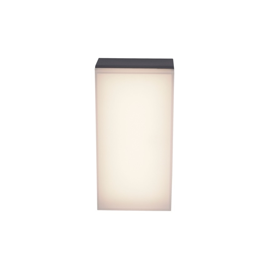 Paul Neuhaus 9495-13 - Udendørs LED væglampe GWEN LED/9W/230V IP65