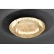 Paul Neuhaus 9621-12 - LED loftlampe NEVIS LED/24W/230V