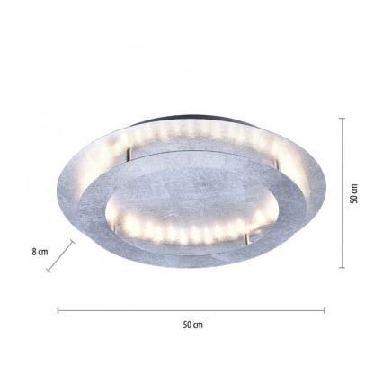 Paul Neuhaus 9621-21 - LED loftlampe NEVIS LED/24W/230V