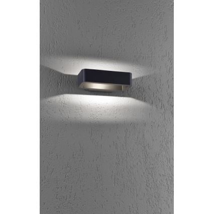 Paul Neuhaus 9668-13 - Udendørs LED væglampe HENDRIK LED/5,2W/230V IP54