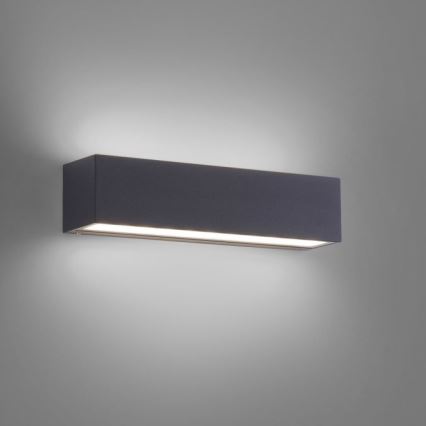 Paul Neuhaus 9675-13 - Udendørs LED væglampe ROBERT 2xLED/9W/230V IP65