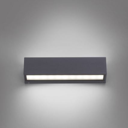 Paul Neuhaus 9675-13 - Udendørs LED væglampe ROBERT 2xLED/9W/230V IP65