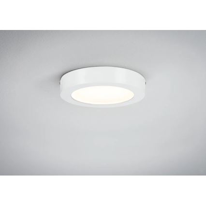 Paulmann 70642 - LED/12,5W Loftlampe LUNAR 230V diameter 22,5 cm hvid