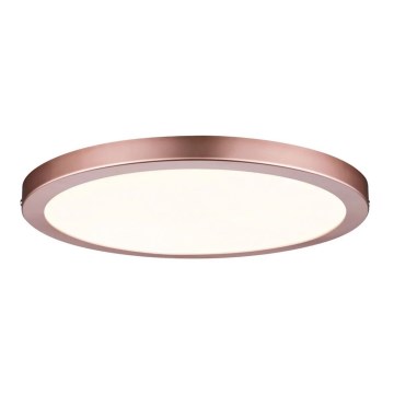 Paulmann 70872 - LED/22W Panel dæmpbart ATRIA 230V 2700K diameter 30 cm Rosenguld