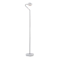 Paulmann 70920 - LED/7,5W Dæmpbar gulvlampe RAMOS 230V hvid/blank krom