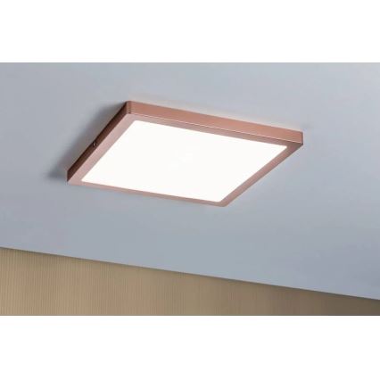 Paulmann 70941 - LED/20W Fastmonteret panel ATRIA 230V 4000K 30x30 cm Rosenguld