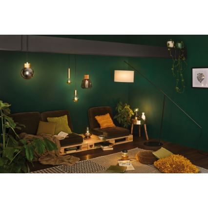 Paulmann 79726 - 1xE27/20W Pendel STIAN 230V