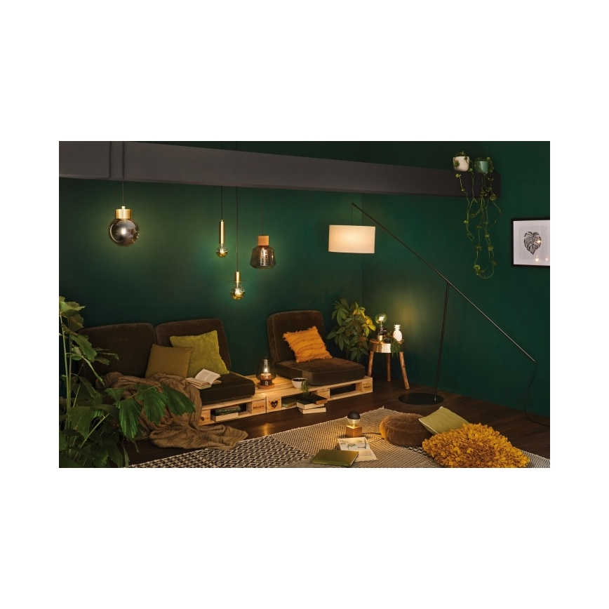 Paulmann 79726 - 1xE27/20W Pendel STIAN 230V