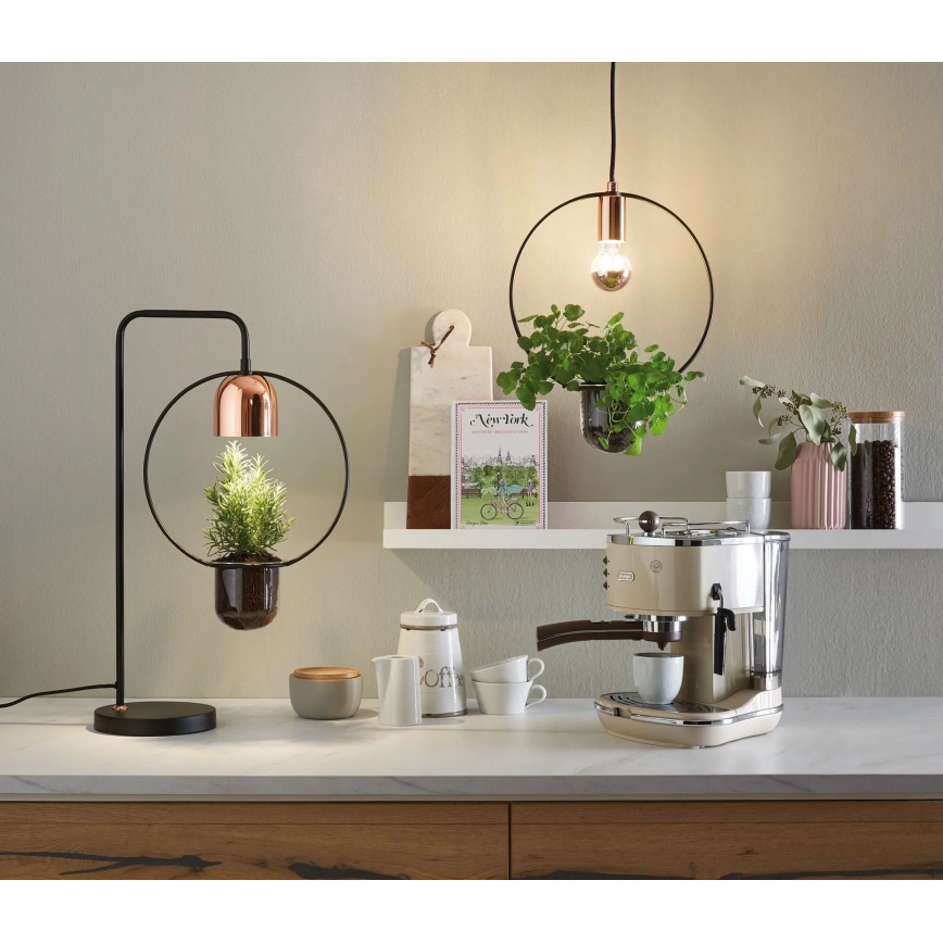 Paulmann 79746 - 1xGU10/20W Bordlampe FANJA 230V røgfarvet