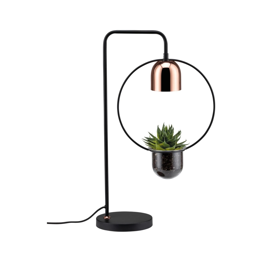 Paulmann 79746 - 1xGU10/20W Bordlampe FANJA 230V røgfarvet