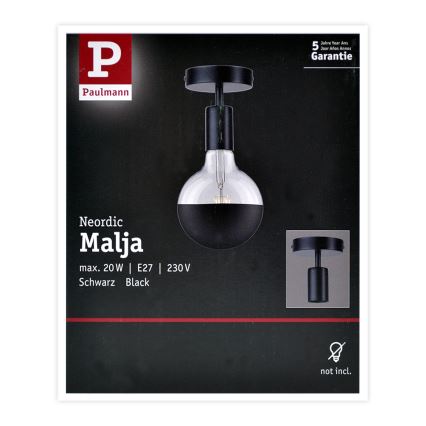 Paulmann 79760 - Lofts lys HALDOR 1xE27/20W/230V
