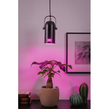 Paulmann 79766 - LED RGBW 1xE27/12W pendel med wireophæng LAVEA 230V sort
