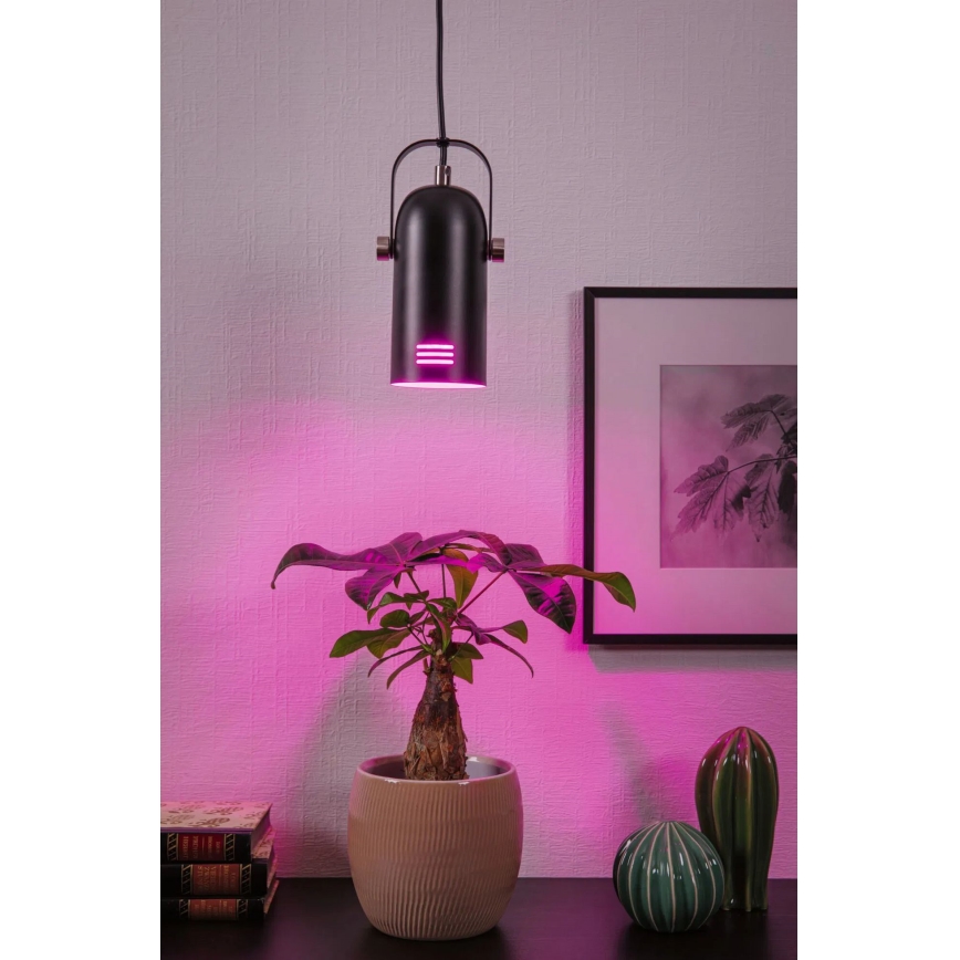 Paulmann 79766 - LED RGBW 1xE27/12W pendel med wireophæng LAVEA 230V sort
