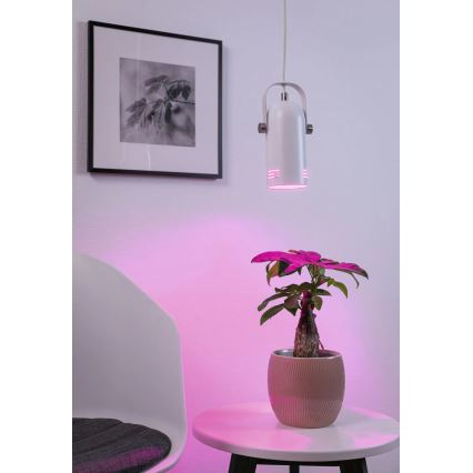 Paulmann 79767 - 1xE27/15W pendel på ledning LAVEA 230V hvid