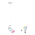 Paulmann 79767 - LAVEA LED RGBW pendel 1xE27/9W, 230V, hvid