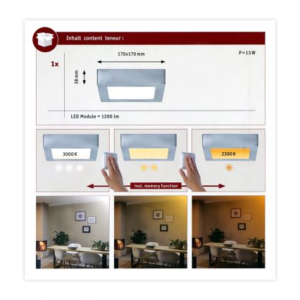 Paulmann 79791 - Loftlampe CARPO LED/10,2W 230V 2300-3000K