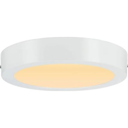 Paulmann 79795 - LED/13W Loftlampe CARPO 230V 2300/2500/3000K